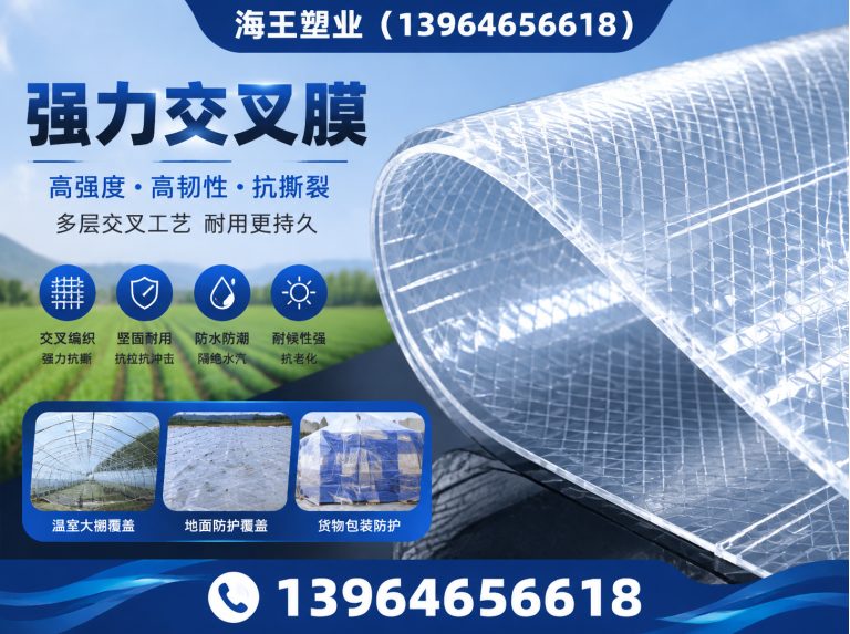 寿光市SBS防水卷材膜，POF包装膜展示图